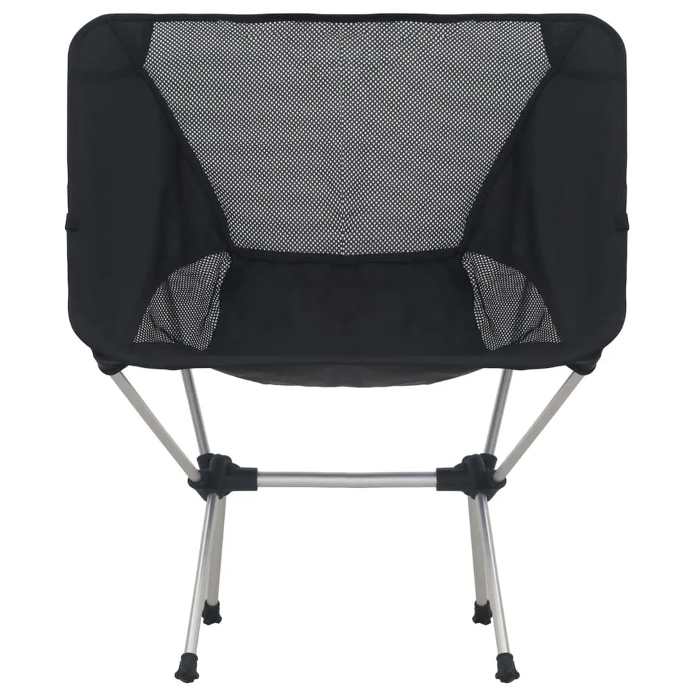 2x Folding Camping Chairs with Carry Bag 54x50x65 cm Aluminium