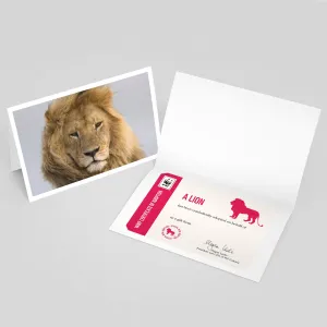 Lion adoption card