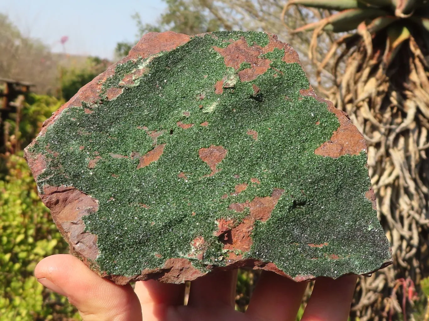 Natural Rare Libethenite Crystals With Drusy Dolomite On Banded Ironstone Matrix x 2 From Congo