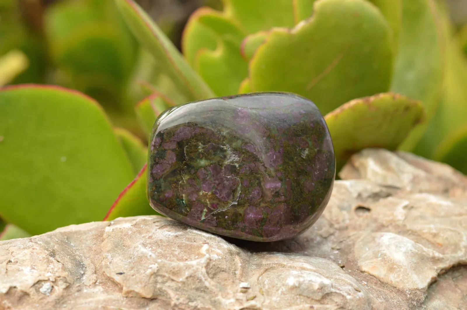 Polished Fluorescent Ruby Corundum In Chrome Verdite Free Forms x 5 From Zimbabwe