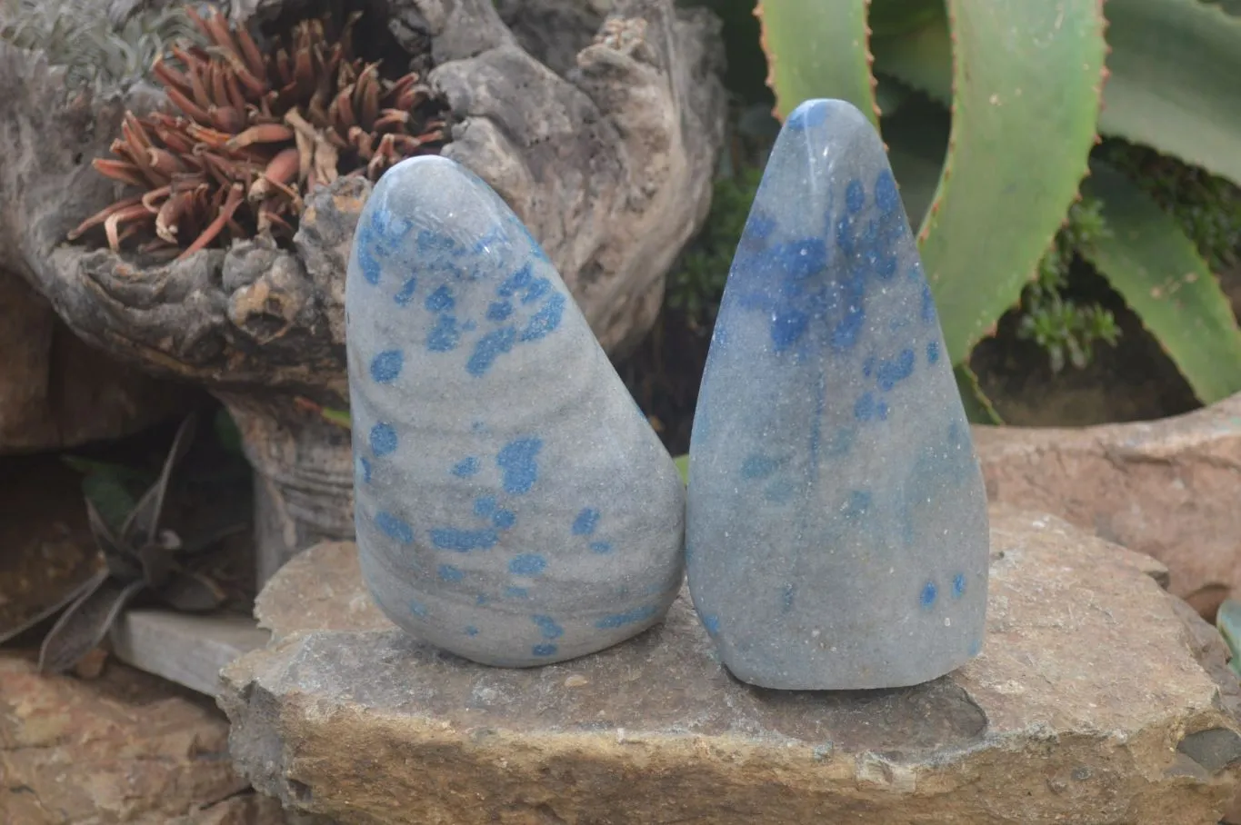 Polished Rare Blue Spinel Spotted Quartz Standing Free Forms x 2 From Madagascar