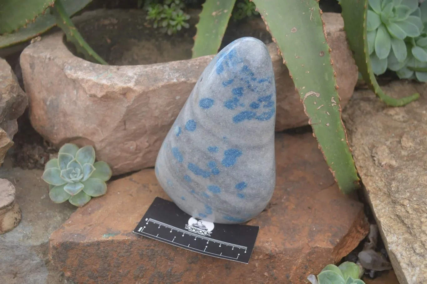 Polished Rare Blue Spinel Spotted Quartz Standing Free Forms x 2 From Madagascar