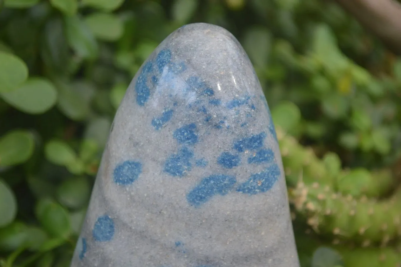 Polished Rare Blue Spinel Spotted Quartz Standing Free Forms x 2 From Madagascar