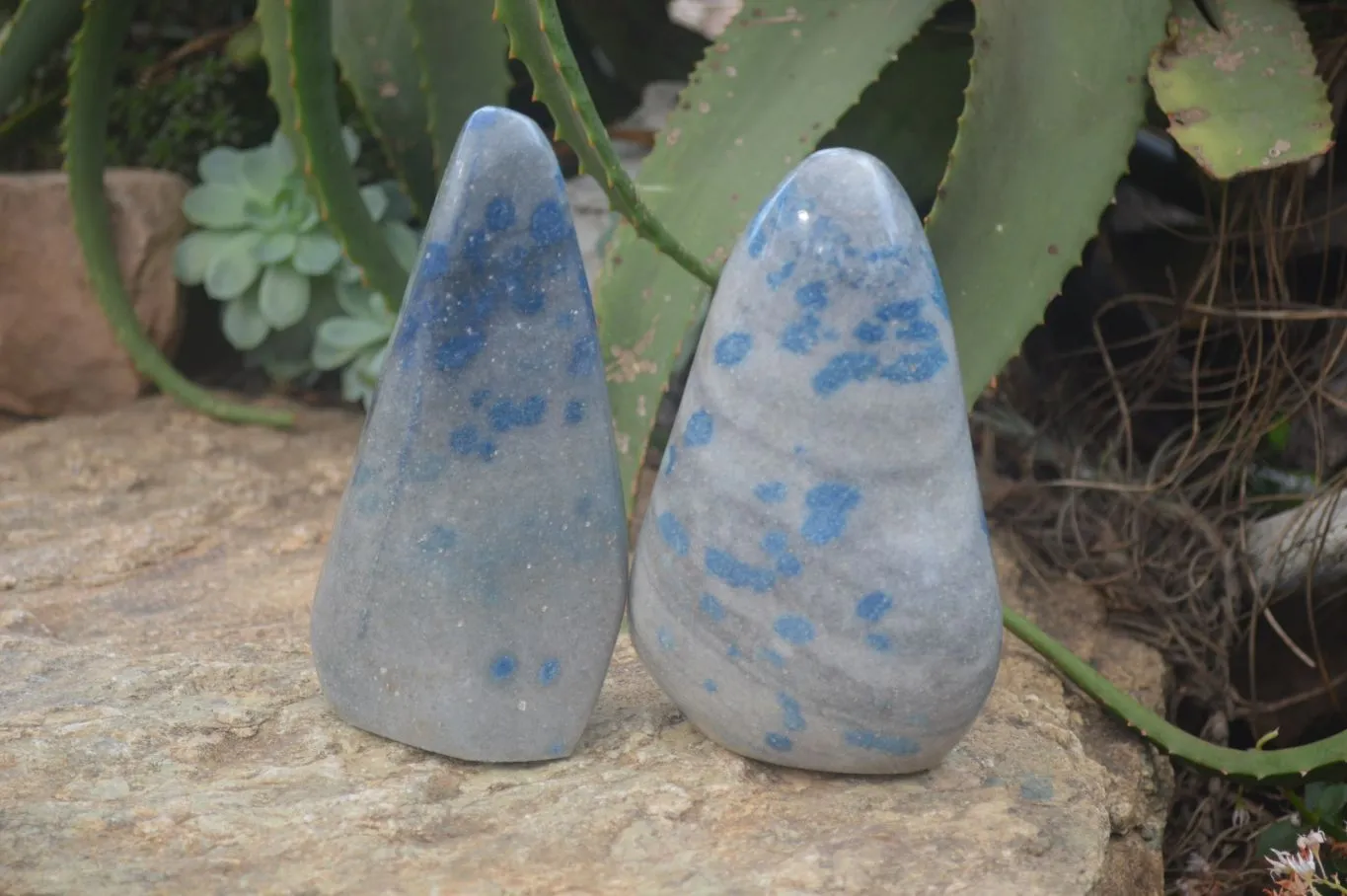 Polished Rare Blue Spinel Spotted Quartz Standing Free Forms x 2 From Madagascar