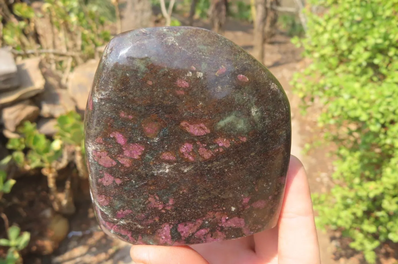 Polished Ruby Corundum In Chrome Verdite Standing Free Forms x 4 From Zimbabwe