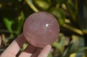 Polished Star Rose Quartz Spheres x 2 From Madagascar