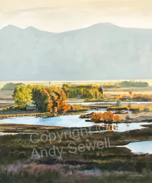 "Silvercreek Morning Shadows" - an Original Oil Painting or Signed Edition Print of Idaho's famed Silvercreek in the Morning.