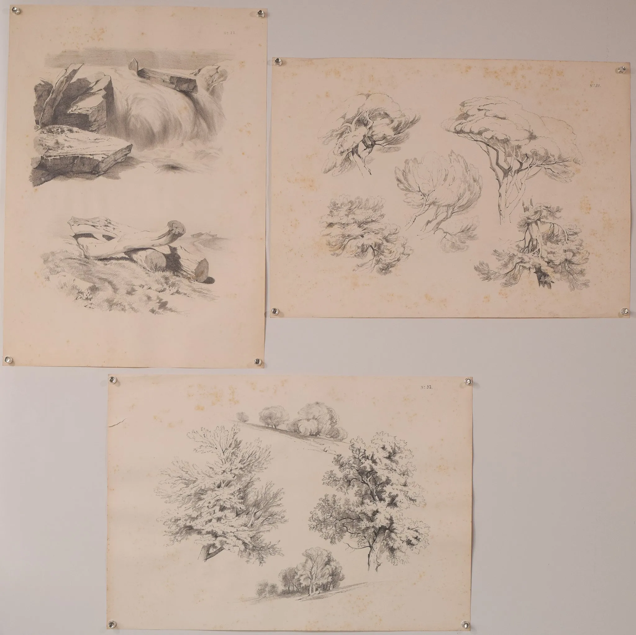 Set of 11 - Pencil Studies Of Nature