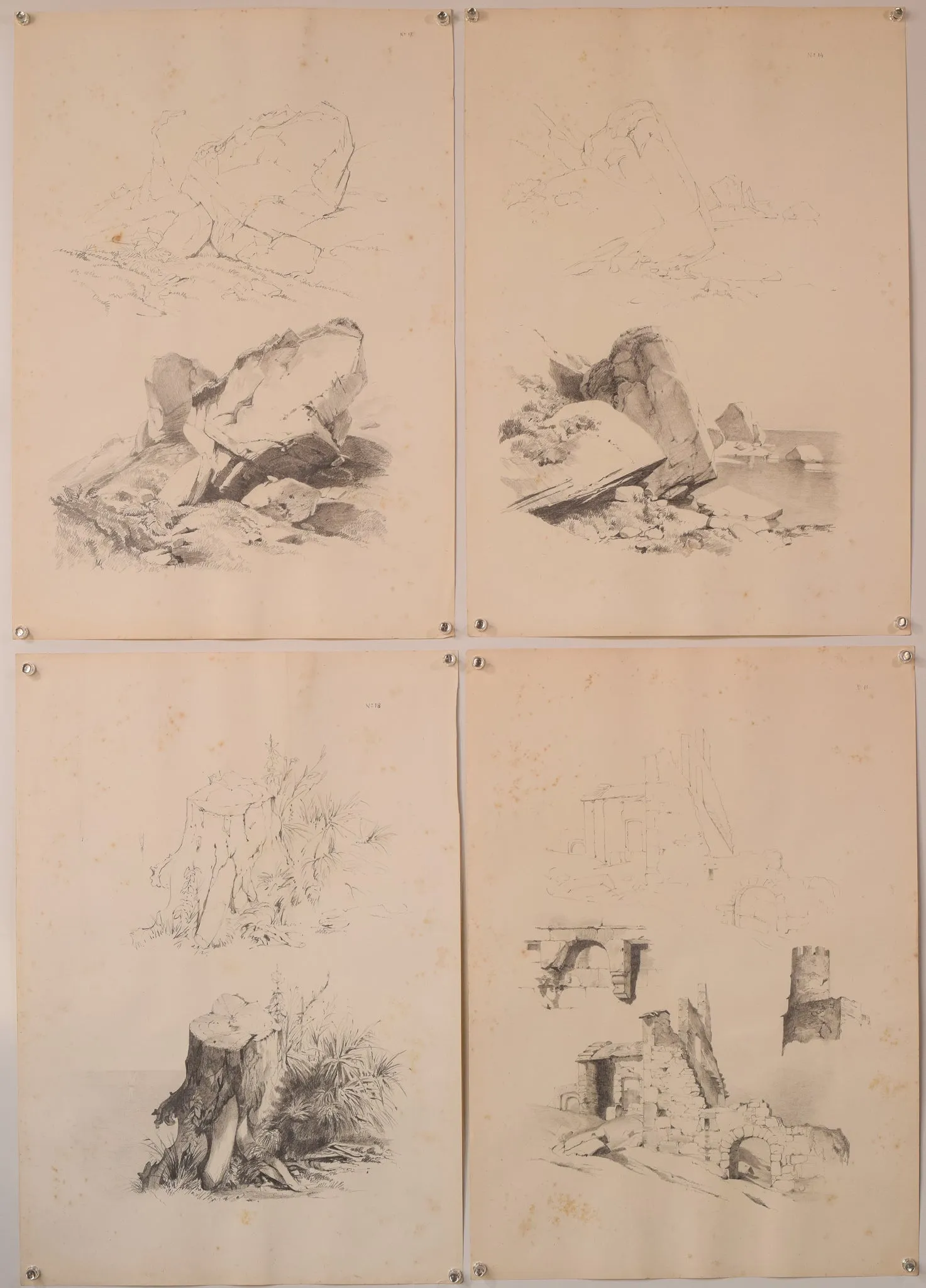 Set of 11 - Pencil Studies Of Nature