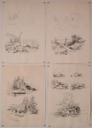 Set of 11 - Pencil Studies Of Nature