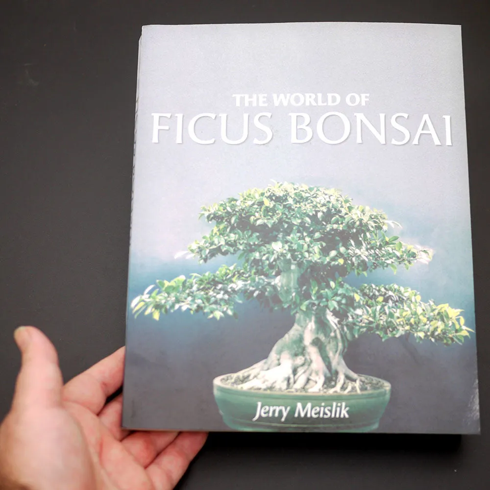 The World of Ficus Bonsai