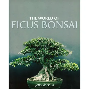 The World of Ficus Bonsai