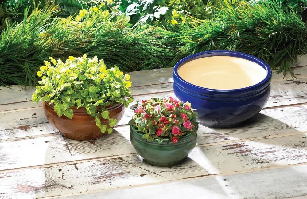 Vibrant Color Planter Trio